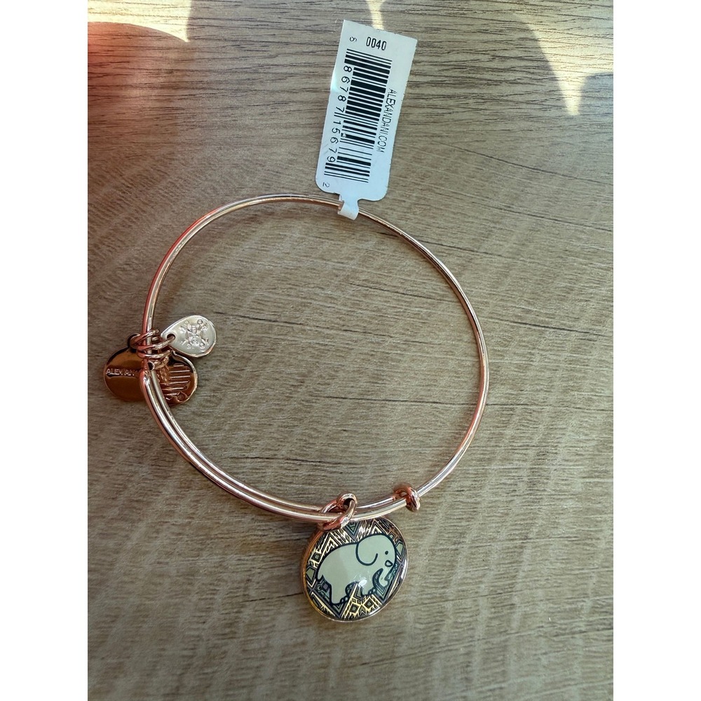 ✨ Alex and Ani Elephant Charm Bangle ✨